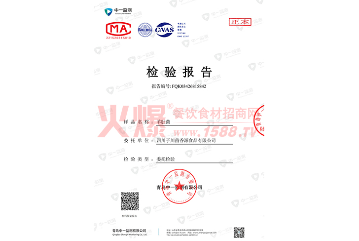 ���鱨��-�Ĵ��Ӵ�����ԴʳƷ���޹�˾
